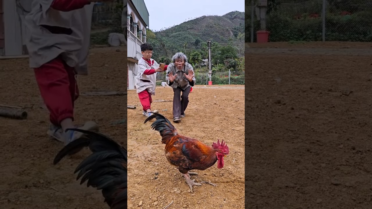 Para ahli terkemuka mengungkapkan cara terbaik untuk membuat orang tersenyum😂😁