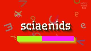 Sciaenids Sciaenids Nasil Deli̇r? Sciaenids - How To Say Sciaenids?