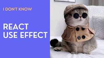 Fetching data with useEffect React hook.