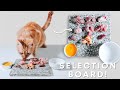 Raw Fed Cat - Self-Selection Board (ASMR)