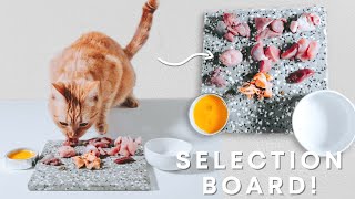 Raw Fed Cat  SelfSelection Board (ASMR)