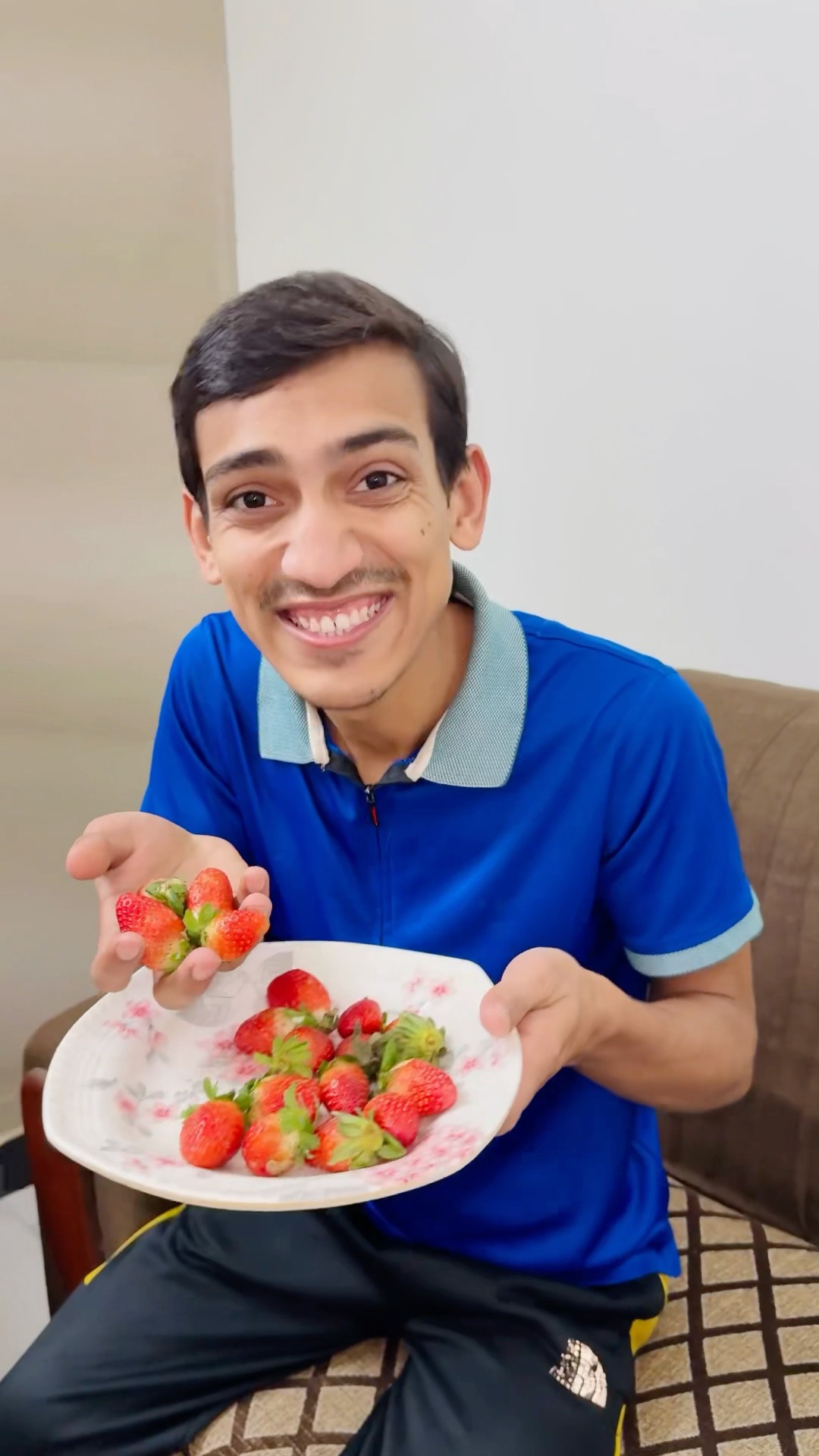 How To Get Berries ?|