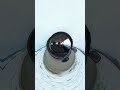 #automobile #dancemusic #tinyplanet #driving #360camera