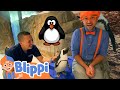 Blippi Visits an Aquarium | Learn About Animals and Fish | Educational Videos for Kids