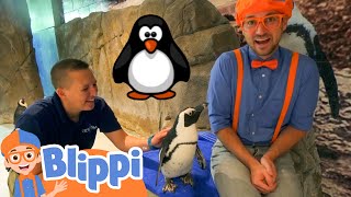 blippi visits an aquarium learn about animals and fish fun and educational videos for kids