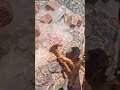 Pegmatite – #Minéralogie#RochesMagmatiques#