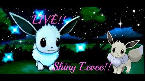 [LIVE!!] Shiny Eevee in Friend Safari in Pokémon X!