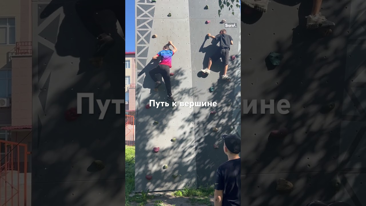 Покорение препятствий 