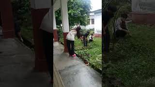 cleanliness drive #dngc #bscchemistry #swachhbharat #gandhijayanti #viralpost #viralshorts cleanliness drive #dngc #bscchemistry #swachhbharat #gandhijayanti #viralpost #viralshorts