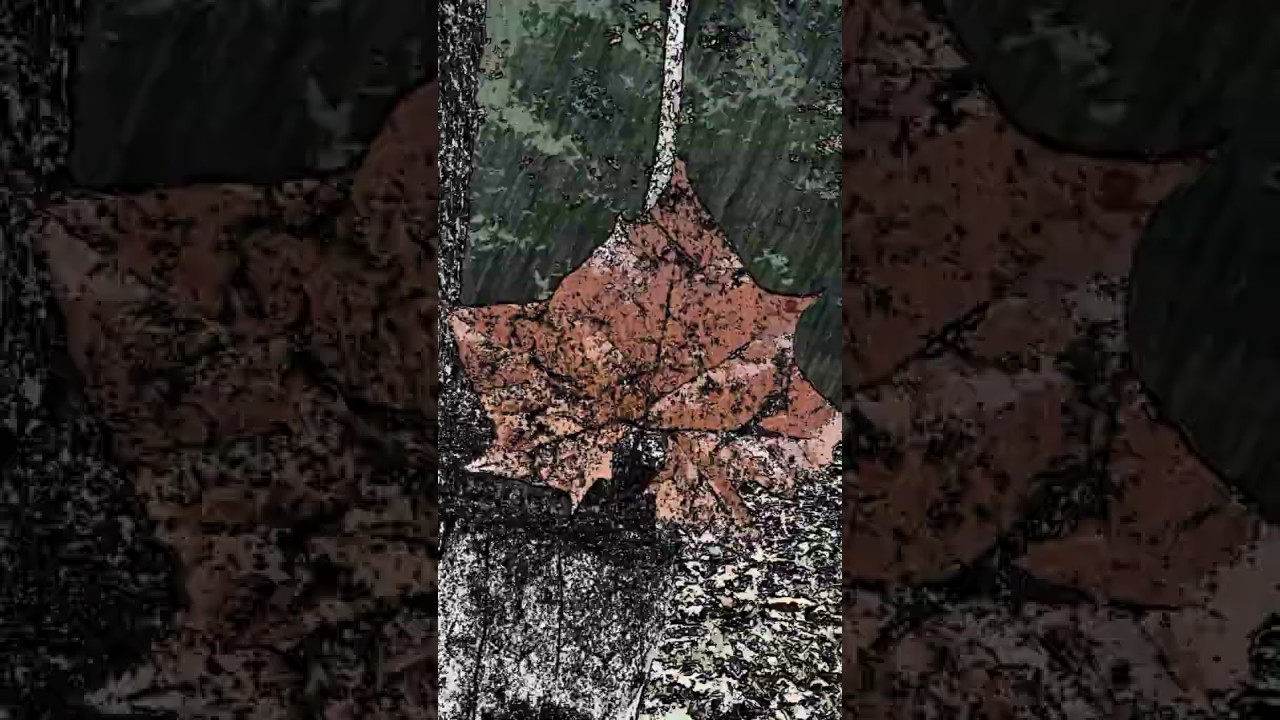 gLiTcHiNgLEAF.ASMRAMBIANCE.Gloria Wimberley 