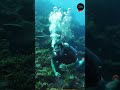 Professional Politician to Professional Scuba diving. Rahul Gandhi's Unknown Adventure Skills.