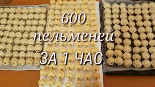 600 ПЕЛЬМЕНЕЙ ЗА 1 ЧАС! ЛЕГКО И ПРОСТО!