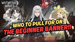 Which 5 Star To Target On The Beginner Banner?! Important Early Game Decision!! | Wuthering Waves