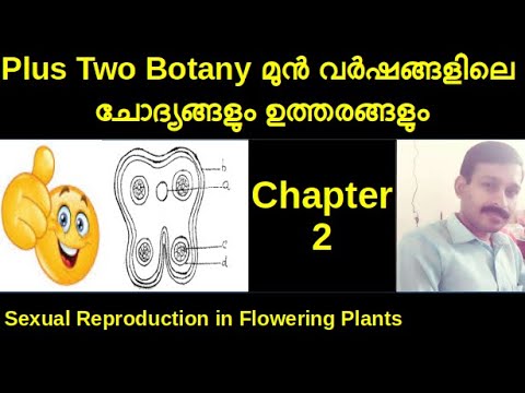 Plus Two Botany Chapter Wise Previous Questions Chapter Sexual