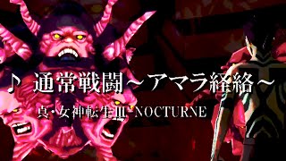 真・女神転生Ⅲ BGM カッコいい曲【 通常戦闘～アマラ経絡～（Common Battle ~Amala Network~）】 たぶん高音質 Shin Megami Tensei Music