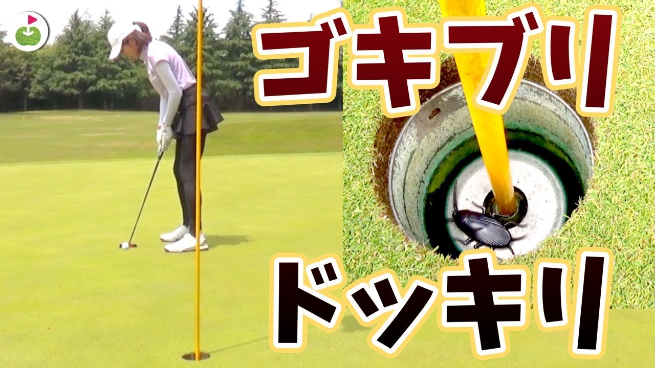 カップインしてボール拾おうとしたらゴキブリ入ってるドッキリ 誠ノ介くんとゴルフ 4 Youtube
