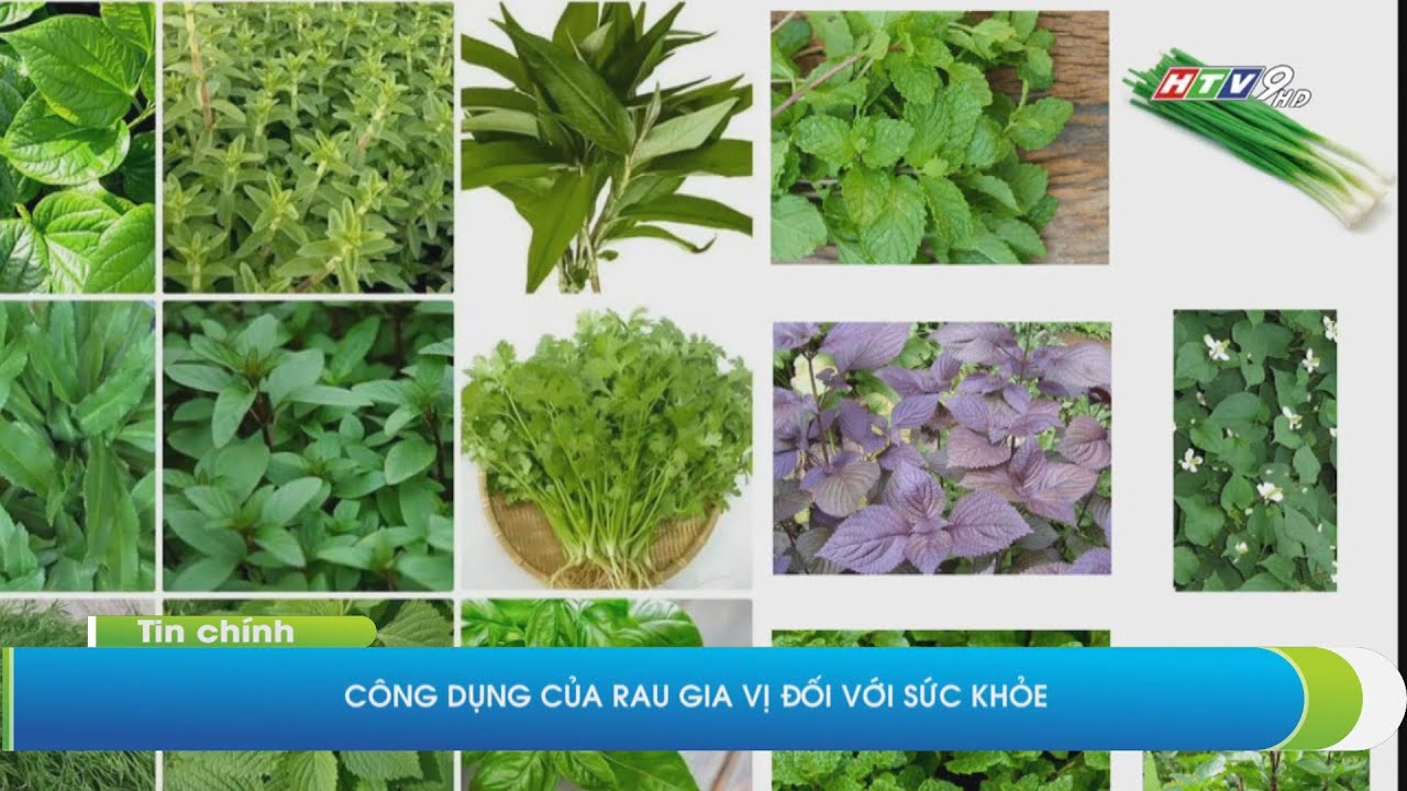 AS_Lợi ích của các loại rau gia vị - YouTube
