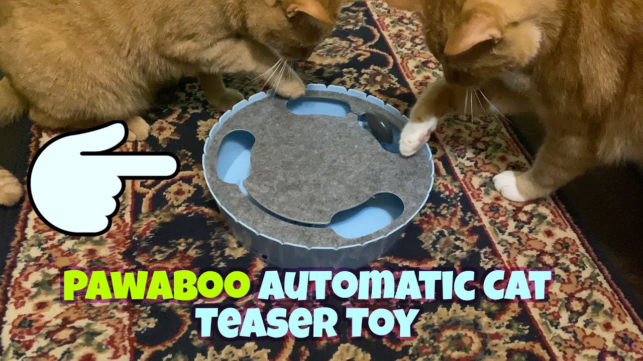 Обзор интерактивной игрушки для кошек Pawaboo Running Mouse 🐈 Gadgetify