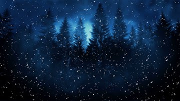 Winter Night Animation Background | Free Stock Video Footage HD 4K