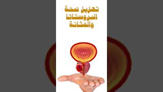 #فوائد #فوائد_صحية #بذور #اليقطين #صحة #تغذية #2023 #shorts #shortvideo https://youtu.be/EMPSspd1xzk