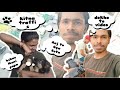 Dog Se Maze Bhari Pad Gye!🥲 | Vlogstar Summu