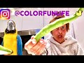 Eat show with a parrot 🐥 | Colorfun