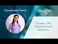 Основы ЭКГ. Практические аспекты. Каменева Анна #убвк_кардиология #убвк_инструментальная_диагностика