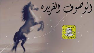 الوصوف الفريده اداء سعد محسن      حصريا  سمعها