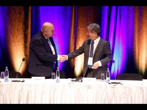 ირაკლი ქარსელაძე მსოფლიო საგზაო კონგრესის ფარგლებში გამართულ მინისტერიალზე სიტყვით გამოვიდა