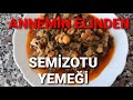 Anne usulsemzotu yeme tarf prprm yeme tarf semzotu yeme nasil yapilir semizotu