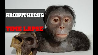 Reconstrucción De Ardipithecus Ramidus Ardi