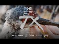 HUNT 41 - EPISODE 7 : TEXAS