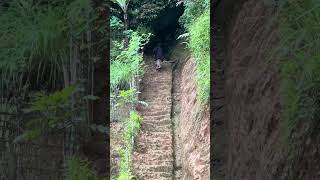 Tangga Seribu Menuju Rumah Gadis Desa Pemberani Yg Tinggal Di Hutan