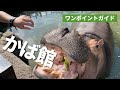 ワンポイントガイド(かば館)