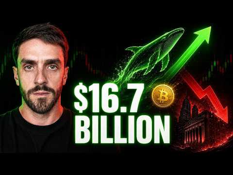 Bitcoin Holders: Whales Just Bought $16.7 Billion (While Wall Street Sold)