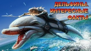 ДЕЛЬФИНЫ. ИНТЕРЕСНЫЕ ФАКТЫ/DOLPHINS. INTERESTING FACTS