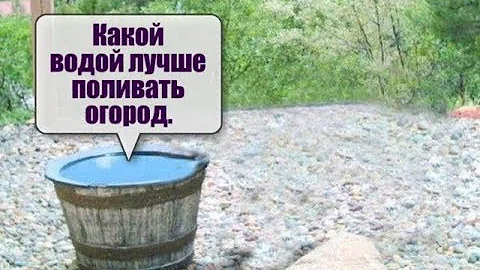 Какой водой лучше поливать огород.