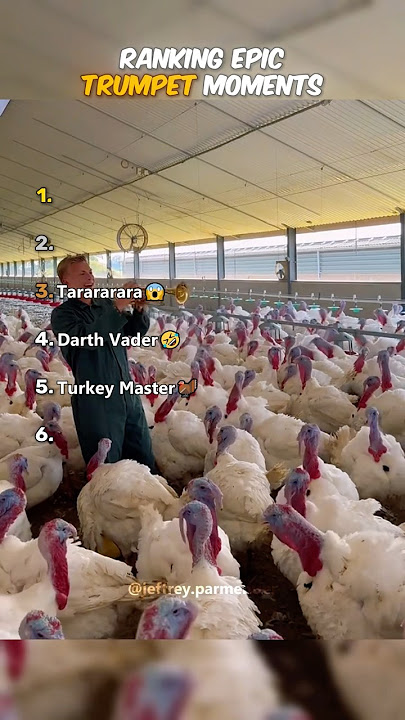 Ranking Epic Trumpet Moments