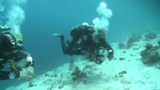 Tec Deep 50m 1920