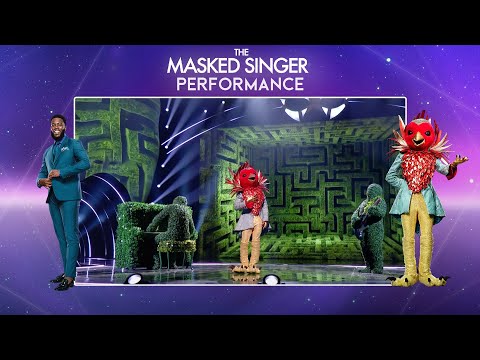 Robin Performs 'Dance Monkey ' By Tones And I  | Season 2 Ep. 3 | The Masked Singer UK