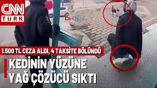 Sokak Kedisine Yağ Çözücü Sprey Sıkan Şahsa 4 Taksitle 1.500 TL İdari Para Cezası Verildi