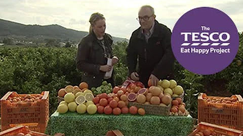 Juicy Clementines: varieties of citrus fruits - DayDayNews
