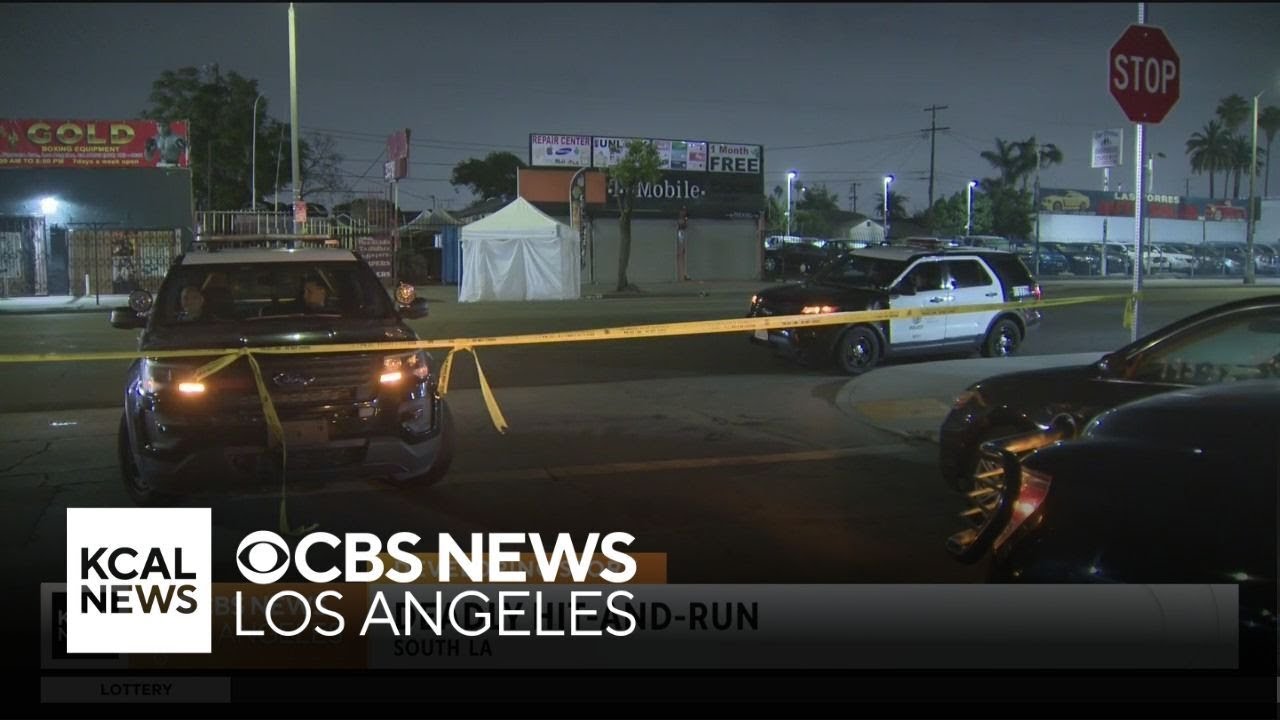 Suspect in deadly South LA hit-and-run is in custody - YouTube