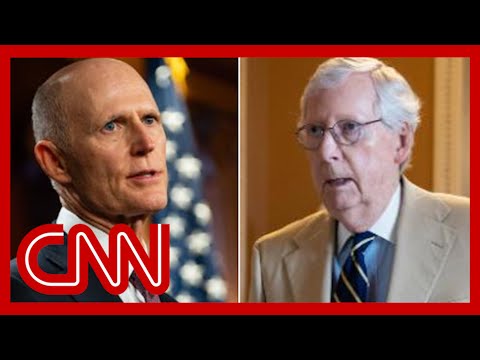 Gop senator blasts mcconnell for 'treasonous' scrutiny of party's candidates