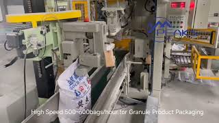 Fully Automatic Open Mouth Bag Packing Machine | 600 Bags/Hr For Feed Fertilizer Sand Grain
