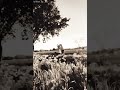 Heaven's Favor [Snippet]  Written By:BRI Voice and beat: Ai Generated Vid: Pntrst #music #songs #fyp