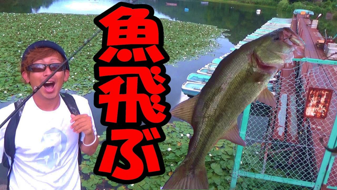 バス釣り 魚がぶっ飛んできた 鬼合わせでブラックバスぶっこぬき Youtube バス釣り 魚がぶっ飛んできた 鬼合わせでブラックバスぶっこぬき Youtube