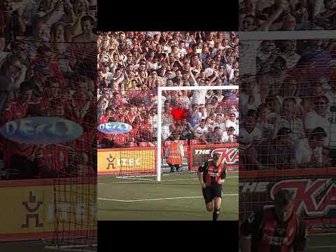 1xBet'in Güvenilirliği Karşılaştırması: Türkiye Marketi İçin Değerlendirme