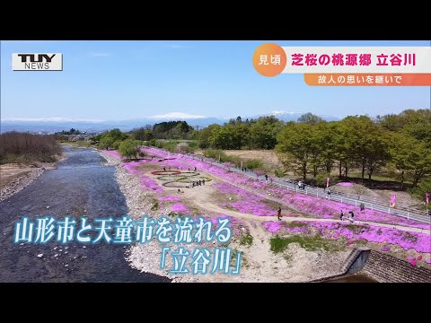 芝桜の桃源郷 立谷川(2022.4.28)