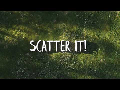 Scatter It! | Shop Asset
